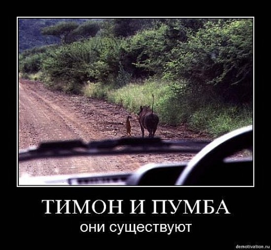 Пацанские демотиваторы, 5