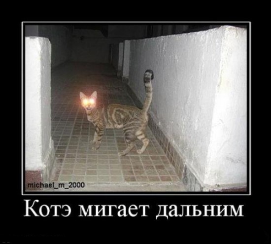 Пацанские демотиваторы (18 фото)