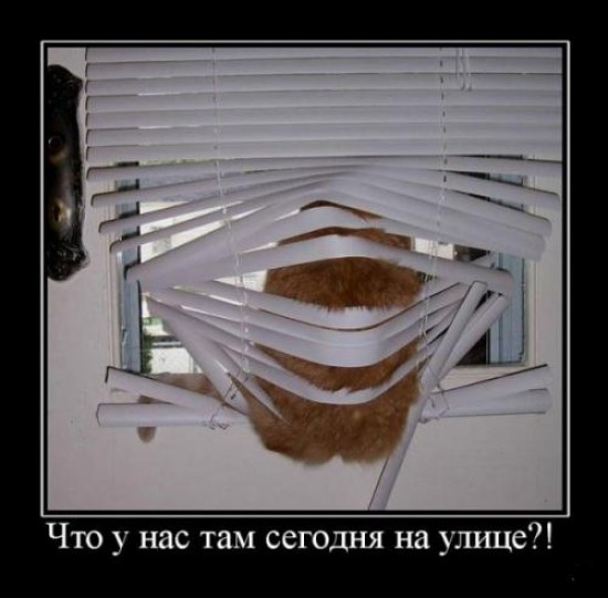 Пацанские демотиваторы (18 фото)