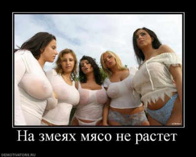 Мартовские демотиваторы