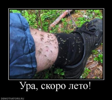 Стремись к лучшему
